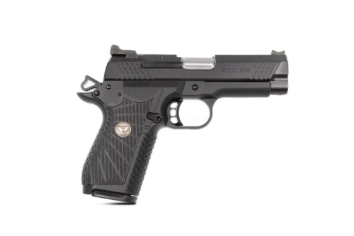 handgun6917 r 1